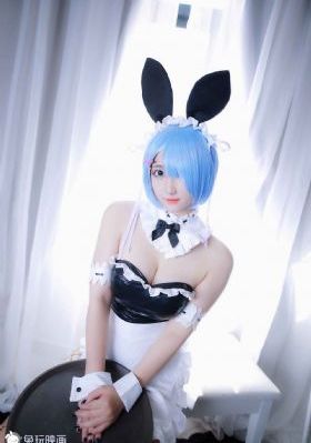 还我狗命_1080P日韩免费观看